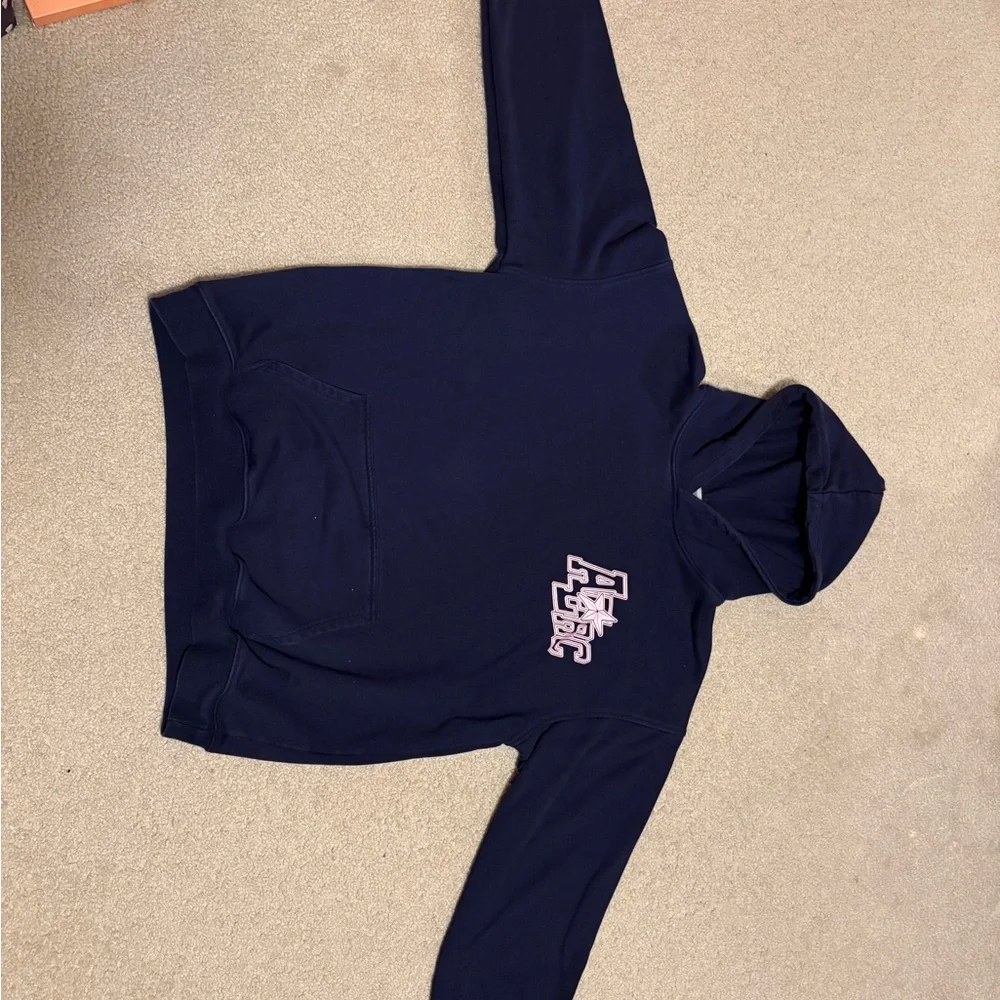 Aelfric Eden Dark Blue Hoodie with Pink Graphic - Picture 1 of 3